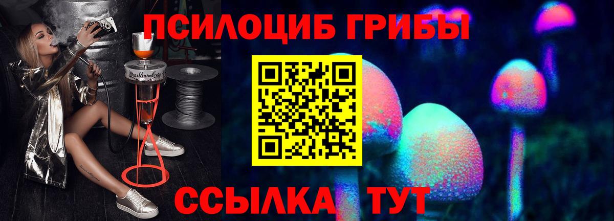 Псилоцибиновые грибы Psilocybe  Галлюциногенные грибы прущие грибы  Рославль  Вход с VPN 